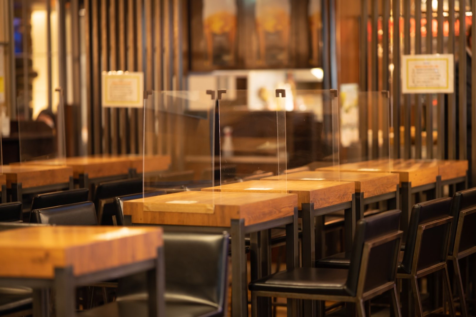 プロ向けサポート