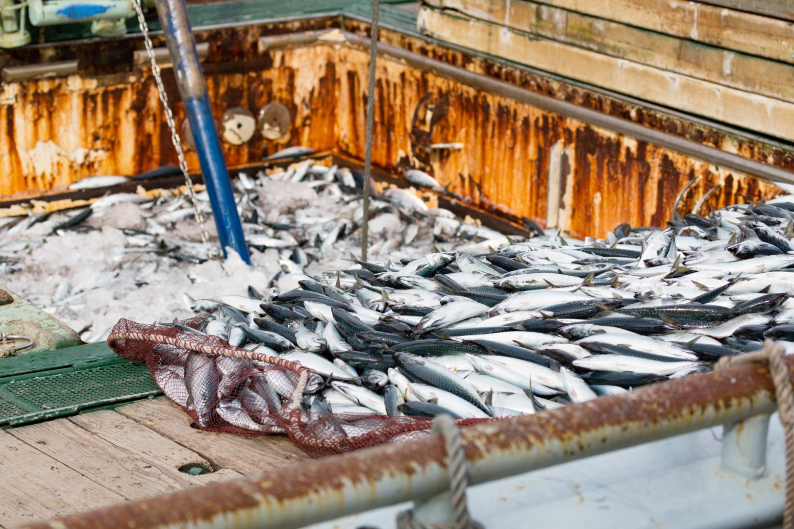 TOPスライド画像01