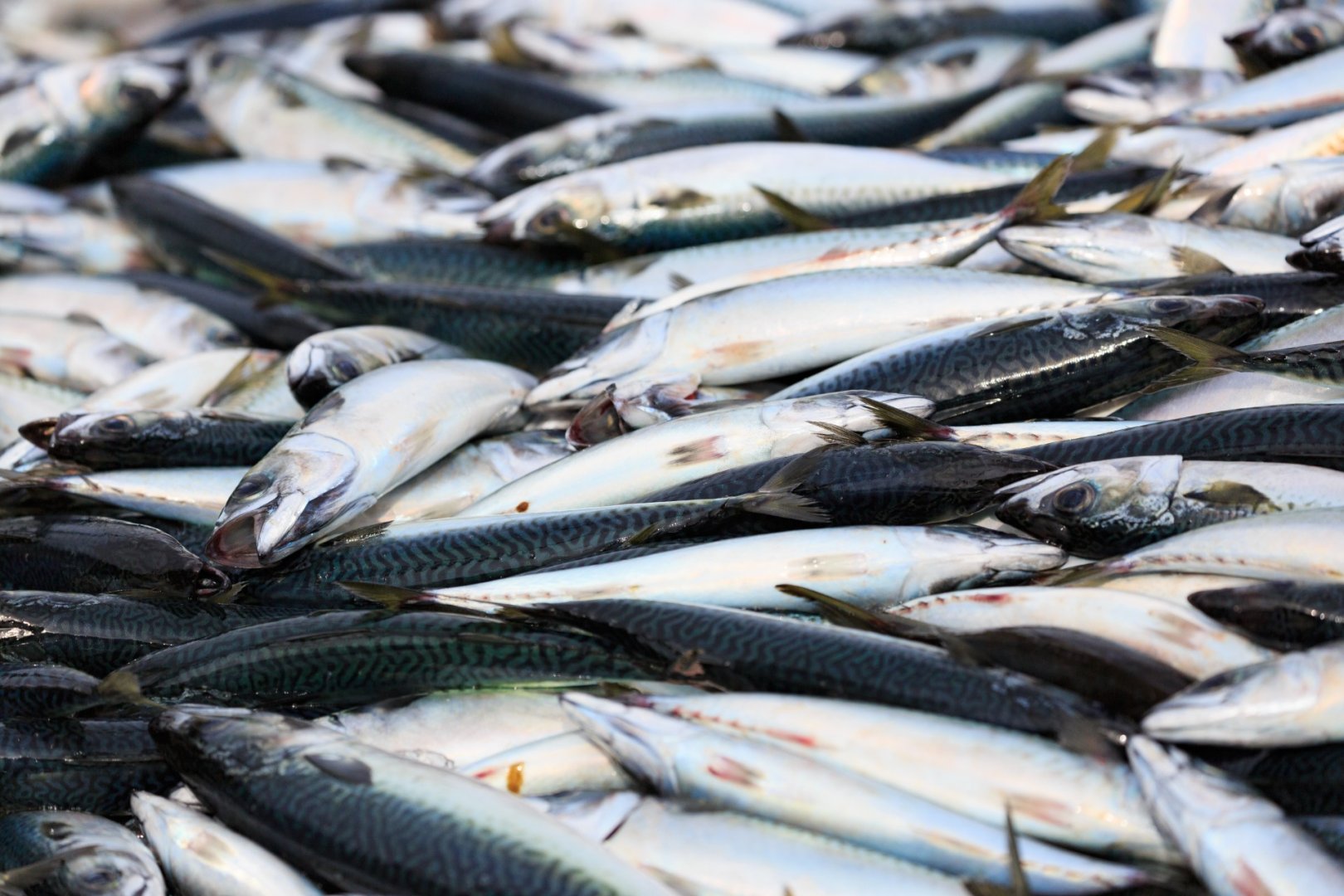 TOPスライド画像02